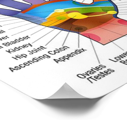 Handreflexologie 14x10" poster (Ecke)