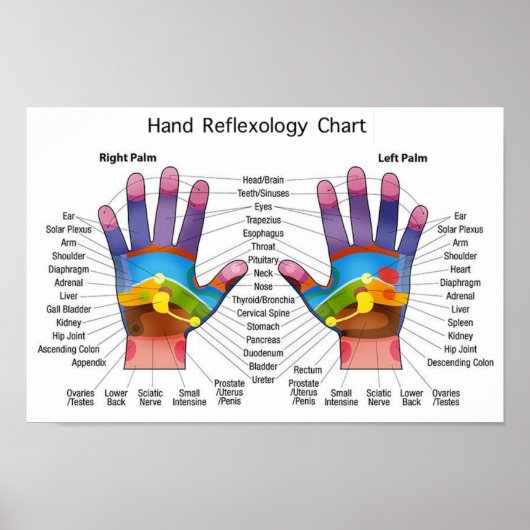Handreflexologie 14x10" poster (Vorne)