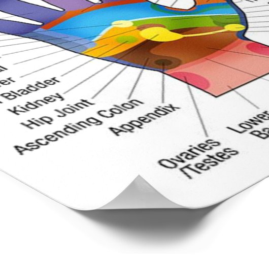 Handreflexologie 14x10" poster (Ecke)