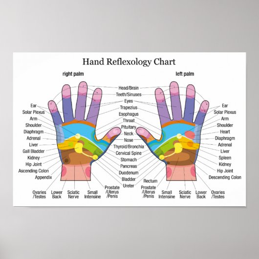 Handreflexologie 16x11" poster (Vorne)