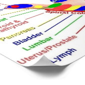 Handreflexologie 22x12" poster (Ecke)