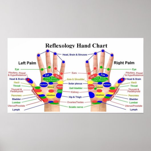 Handreflexologie 22x12" poster (Vorne)