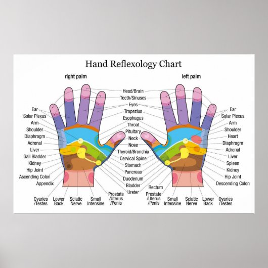 Handreflexologie 36x24" poster (Vorne)
