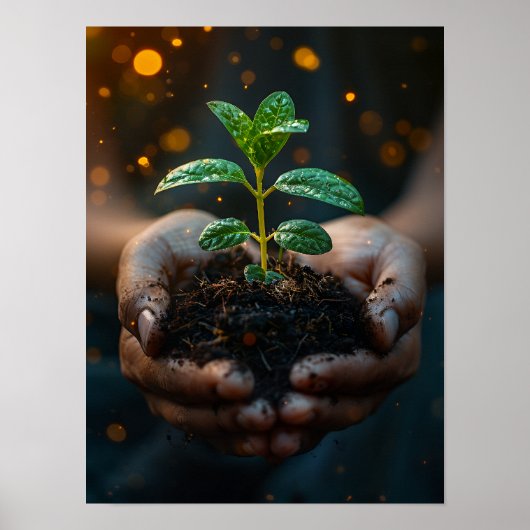 Hands Holding Seedling Growth Hope Art Poster (Vorne)