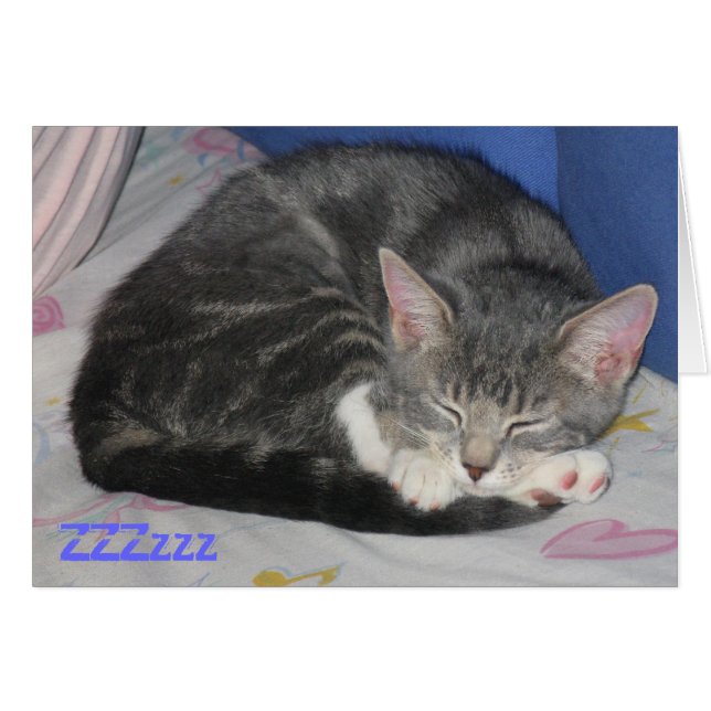 Handschuh-Kätzchen-Quadrat-Nickerchen-Karte (Vorderseite (Horizontal))