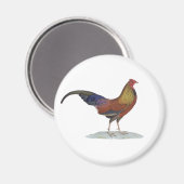 Handsome Alert Rooster Magnet (Vorderseite/Rückseite)