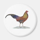 Handsome Alert Rooster Magnet (Vorne)
