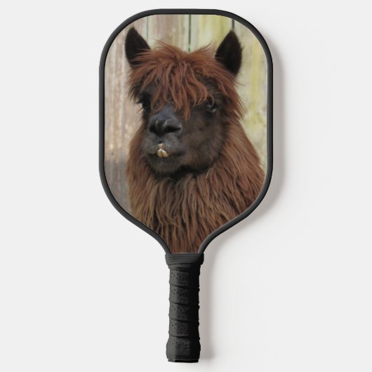 Handsome Alpaca Pickleball Paddle (Rückseite)