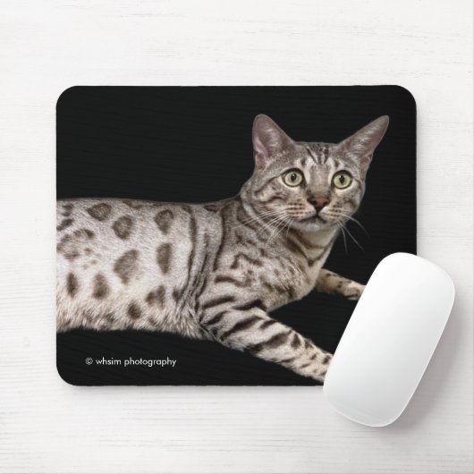 Handsome Bengal Cat Chillaxing in the Condo Mousepad (Mit Mouse)