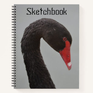 Handsome Black Swan Sketch Notizblock