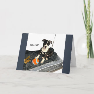 Handsome Bulldog Greeting Card Feiertagskarte