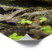 Handsome Bullfrog Poster oder Print (Ecke)