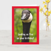 Handsome Canada Goose Funny Birthday Card Karte (Gelbe Blume)
