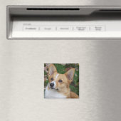 Handsome Corgi Magnet (In Situ (Geschirrspüler))