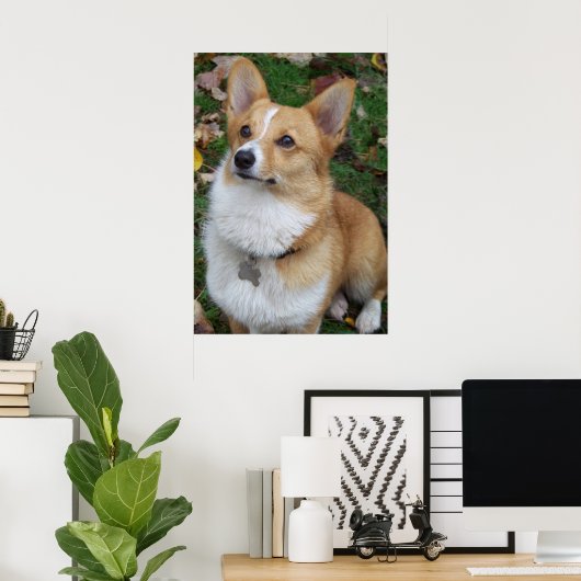 Handsome Corgi Poster (Heimbüro)