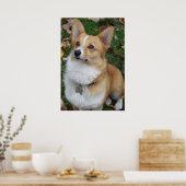 Handsome Corgi Poster (Küche)