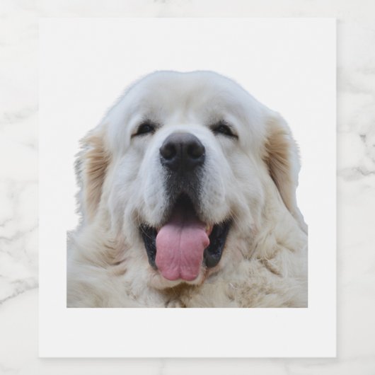 Handsome Dog — Polnisch Tatra Sheepdog Weinetikett (Einzelnes Label)