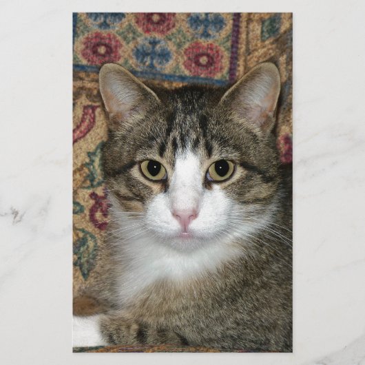 Handsome Fellow Briefpapier (Vorderseite)