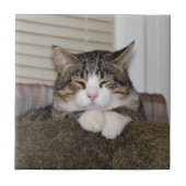 Handsome Fellow Fliese (Vorderseite)