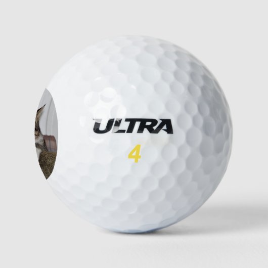 Handsome Fellow Golfball (Logo)