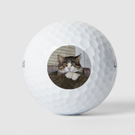 Handsome Fellow Golfball