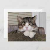 Handsome Fellow Postkarte (Vorne/Hinten)