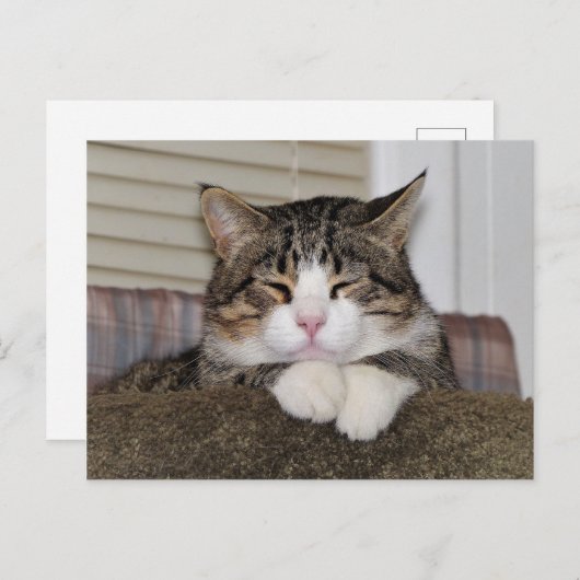 Handsome Fellow Postkarte (Vorne/Hinten)