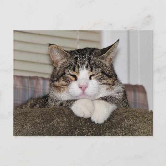 Handsome Fellow Postkarte (Vorderseite)