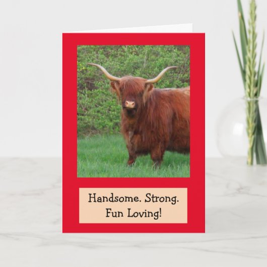 Handsome Funny Highland Steer Birthday Karte (Vorderseite)