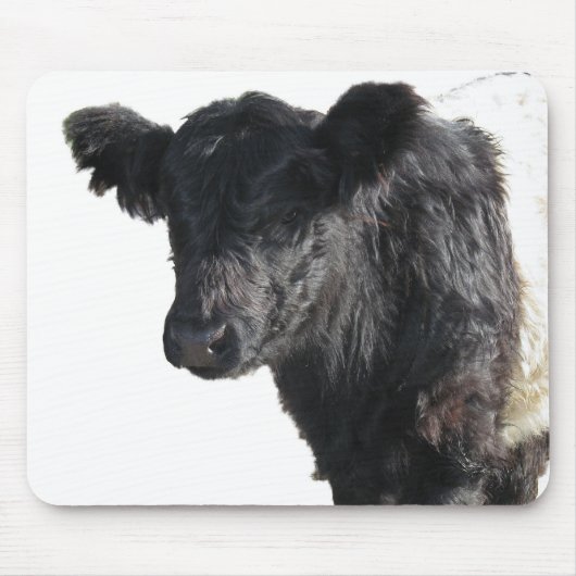 Handsome Galloway Steer Mousepad (Vorne)