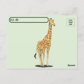 Handsome Giraffe Postcard Postkarte (Rückseite)