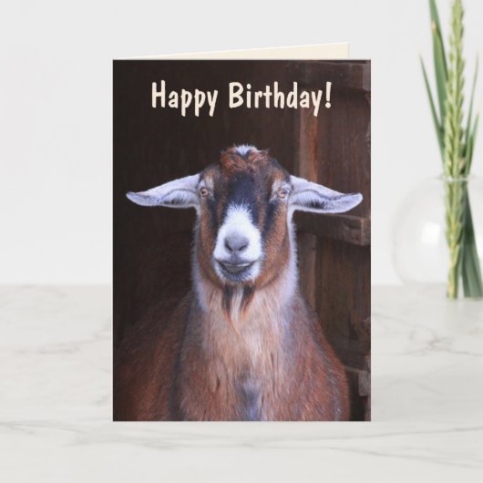 Handsome Goat Birthday Karte (Vorderseite)