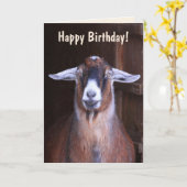 Handsome Goat Birthday Karte (Gelbe Blume)