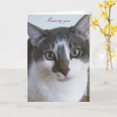 Handsome Grey and White cat Karte (Gelbe Blume)
