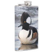 Handsome Hooded Merganser on Move Flachmann (Rechts)
