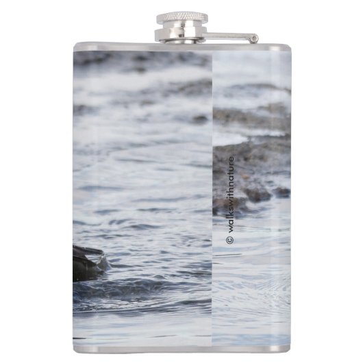 Handsome Hooded Merganser on Move Flachmann (Rückseite)