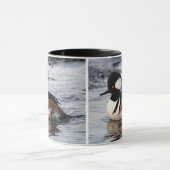 Handsome Hooded Merganser on Move Tasse (Zentrum)