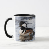 Handsome Hooded Merganser on Move Tasse (Links)
