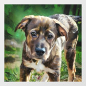 Handsome Husky Mix Puppy Window Fensteraufkleber (Blatt)