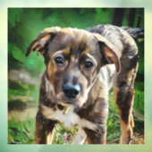 Handsome Husky Mix Puppy Window Fensteraufkleber (Blatt 3)