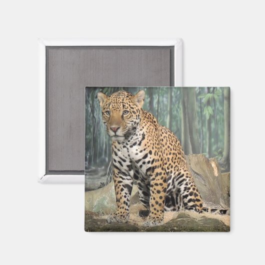 Handsome Jaguar Magnet (Vorderseite/Rückseite)