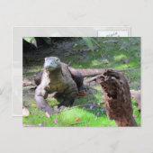 Handsome Komodo Dragon Postcard Postkarte (Vorne/Hinten)
