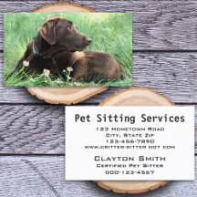 Handsome Labrador Retriever Fotografie Tierpflege