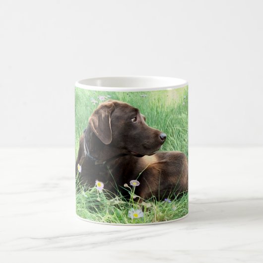 Handsome Labrador Retriever Portrait in Blume Kaffeetasse (Mittel)