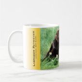 Handsome Labrador Retriever Portrait in Blume Kaffeetasse (Links)