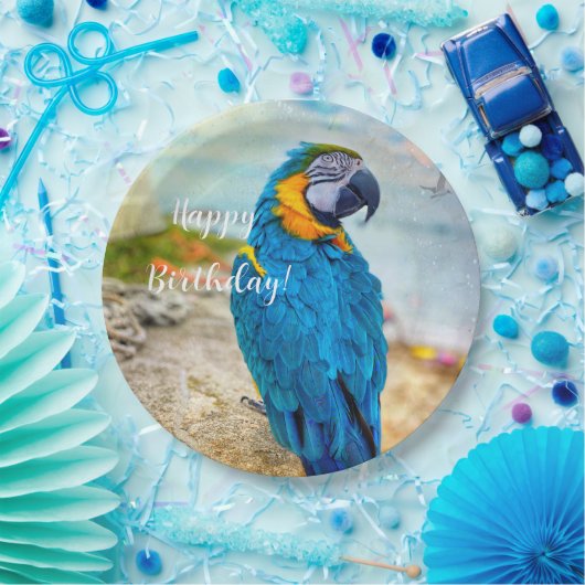 Handsome Macaw Parrot Pappteller (Party)