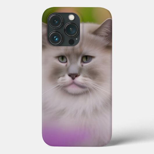 Handsome Maine Coon Himalayan Cat Case-Mate iPhone Hülle (Rückseite)