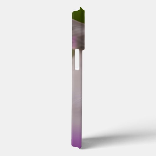 Handsome Maine Coon Himalayan Cat Case-Mate iPhone Hülle (Rückseite / Rechts)