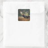 Handsome Moose Birthday Quadratischer Aufkleber (Tasche)