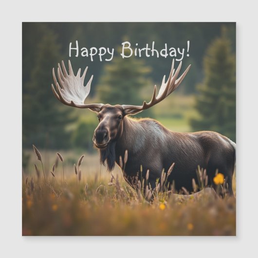 Handsome Moose Magnetic Birthday Card Magnetkarte (Vorderseite)